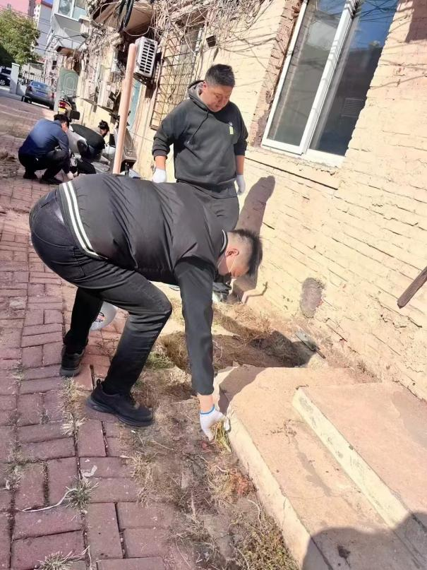 1729132032382472.png 1729132032382472.png